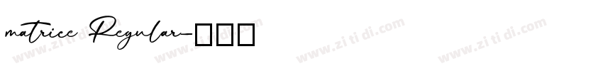 matrice Regular字体转换